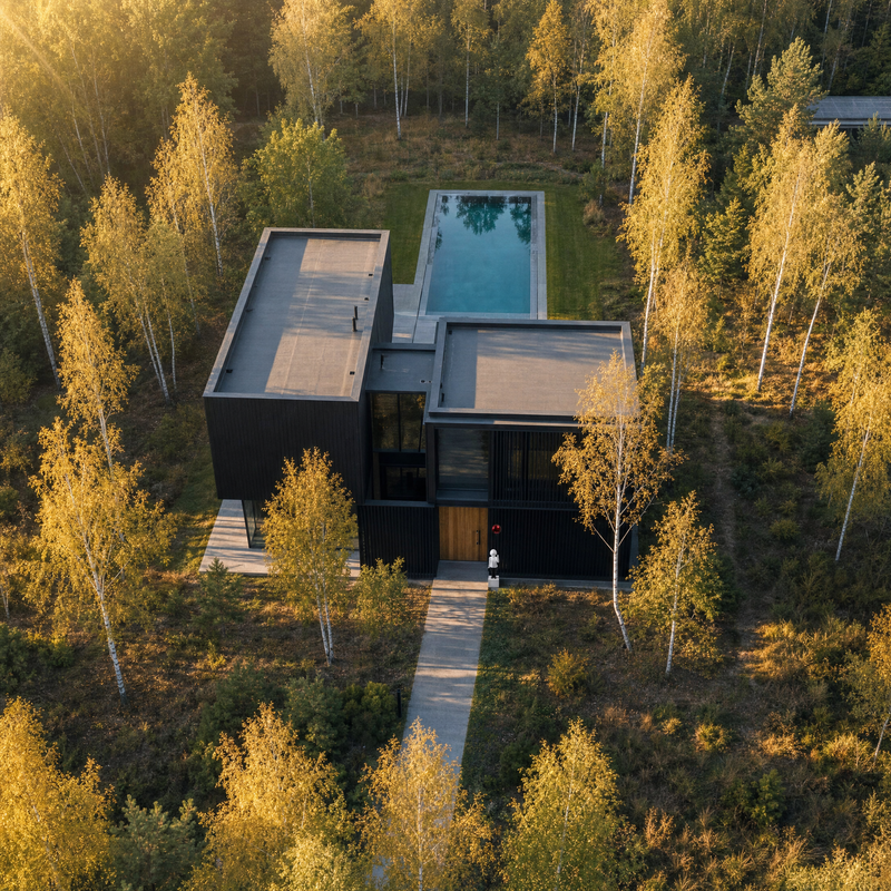 Aerial view of a modern house in an autumn birch forest at golden hour, the small red sphere of the AeroCherub sculpture visible beside the front door.