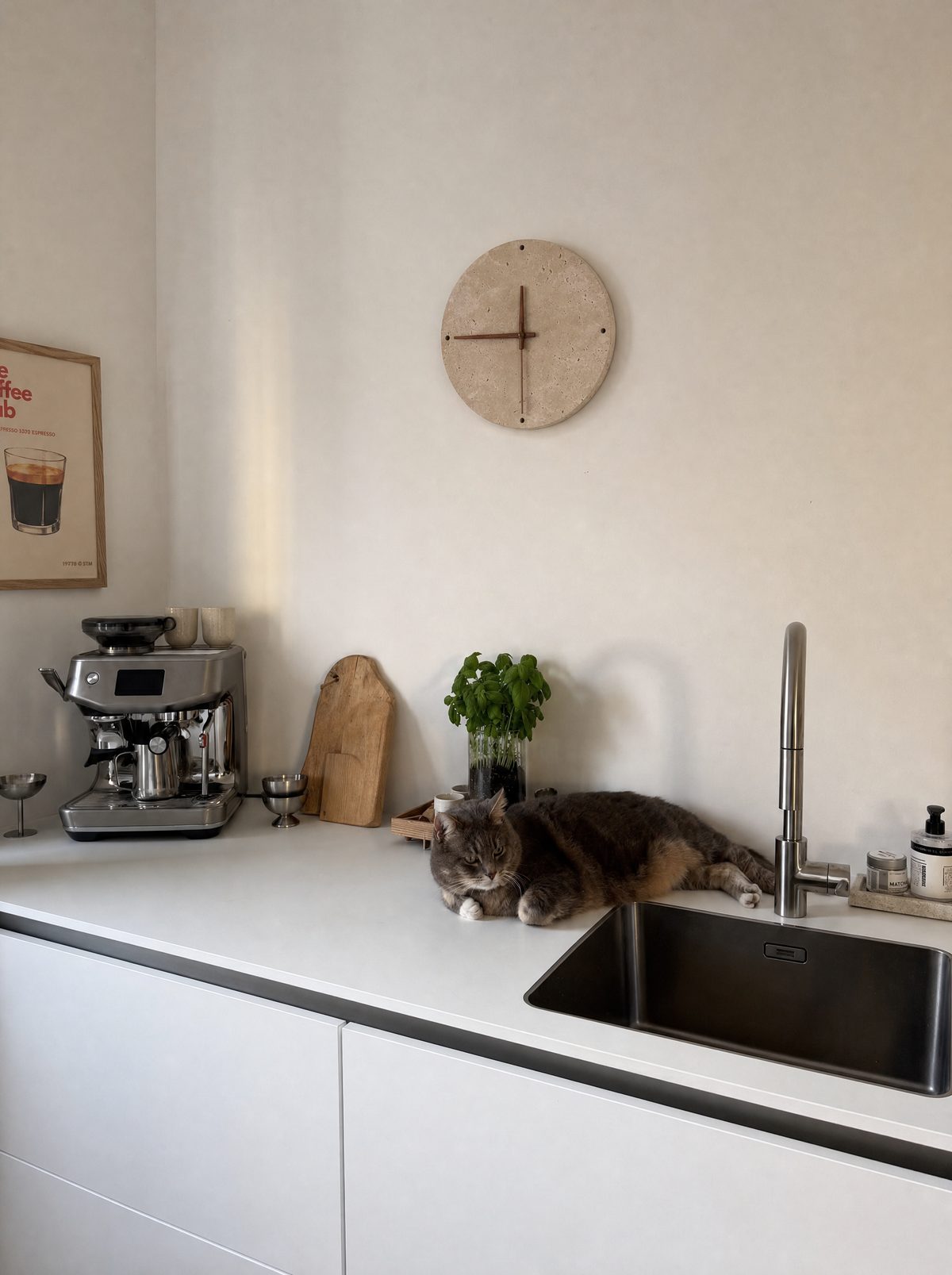 Adagio wall clock in a kitchen, a cat nearby